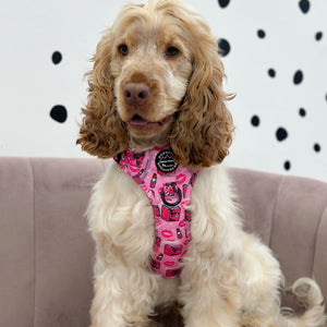 Tough Trails™ Harness - Mean Girls