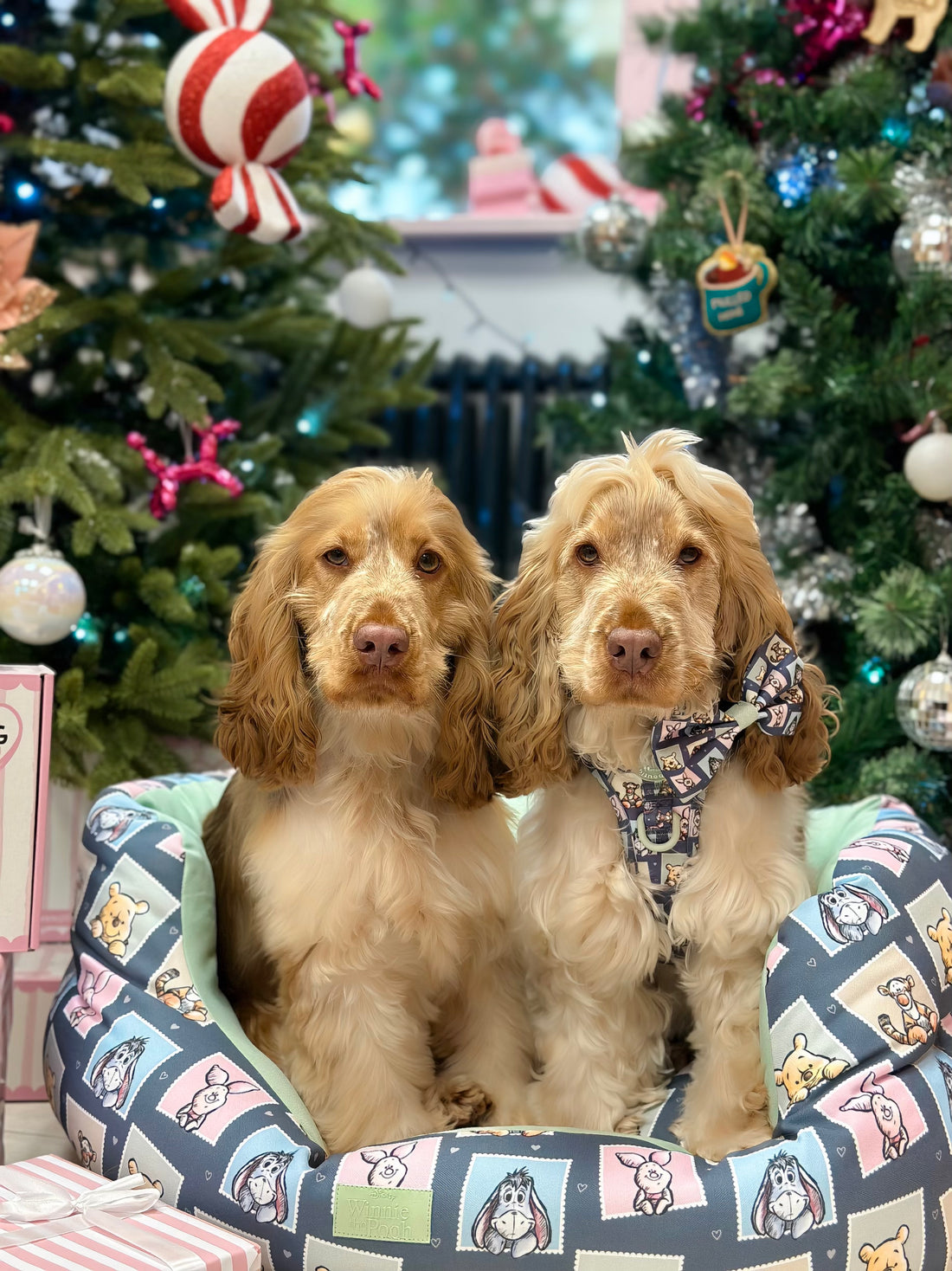 Disney© Dog Bed - Winnie + Friends