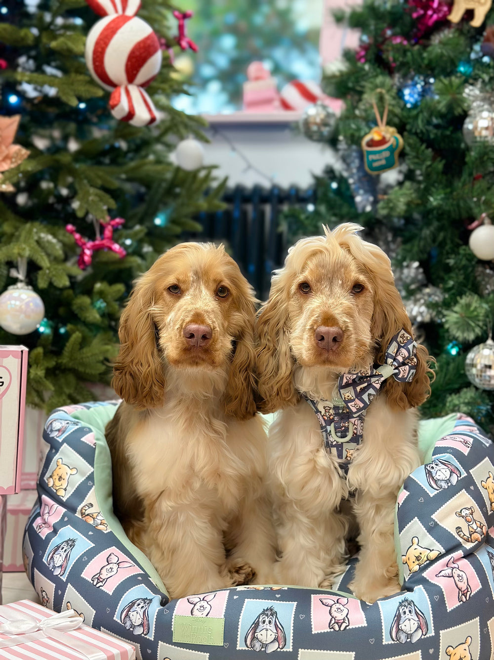 Disney© Dog Bed - Winnie + Friends