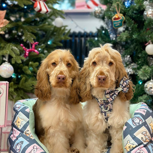 Disney© Dog Bed - Winnie + Friends