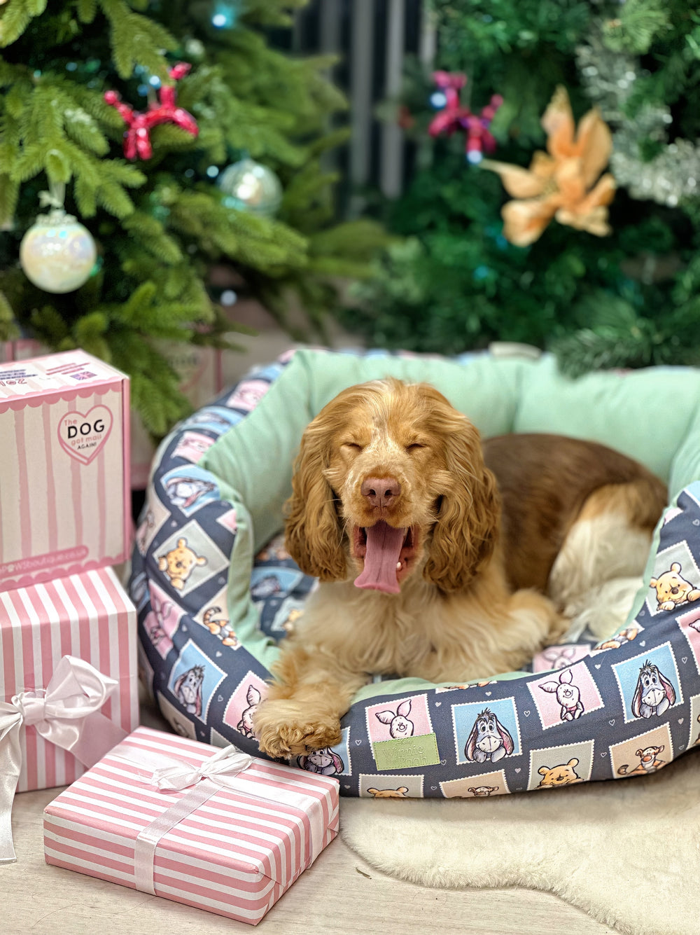 Disney© Dog Bed - Winnie + Friends