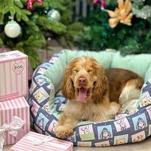 Disney© Dog Bed - Winnie + Friends