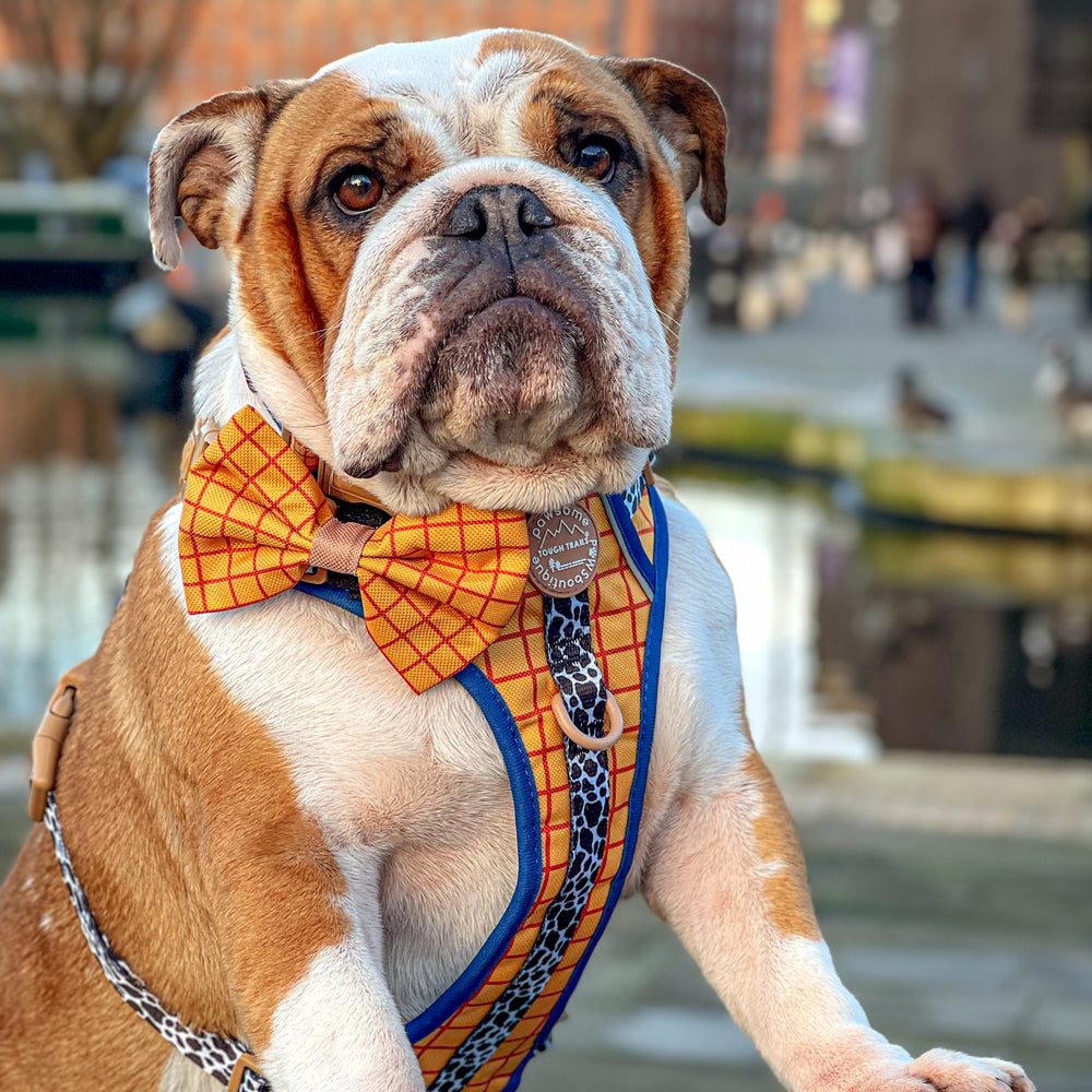 Disney© Bow Tie - Woody