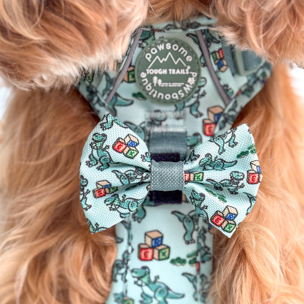 Disney© Bow Tie - Rex