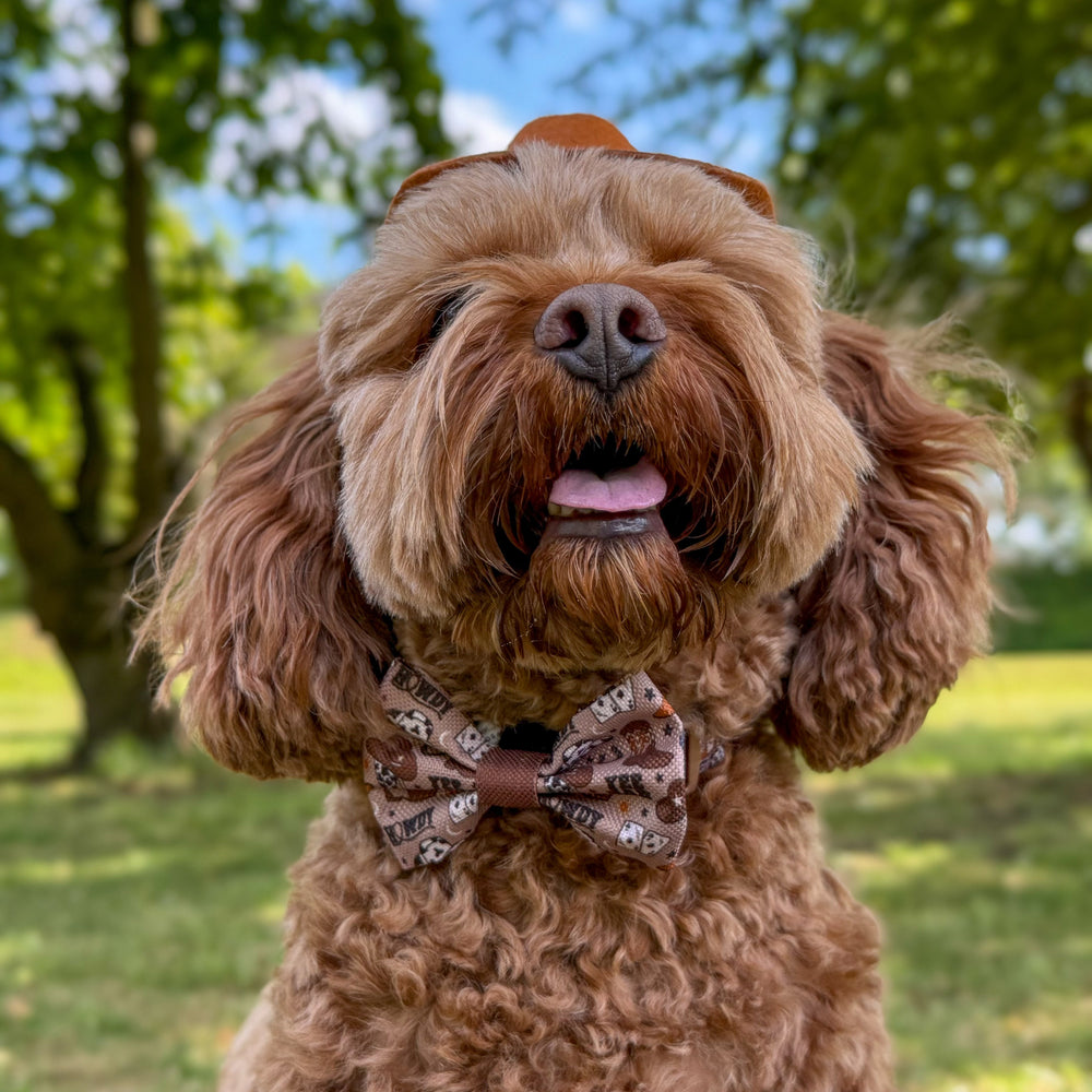 Bow Tie - Cowboy