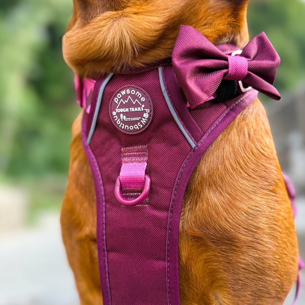 Bow Tie - Walkies Ready® - Mulberry