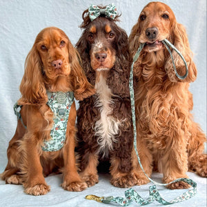 Disney© Bow Tie - Rex