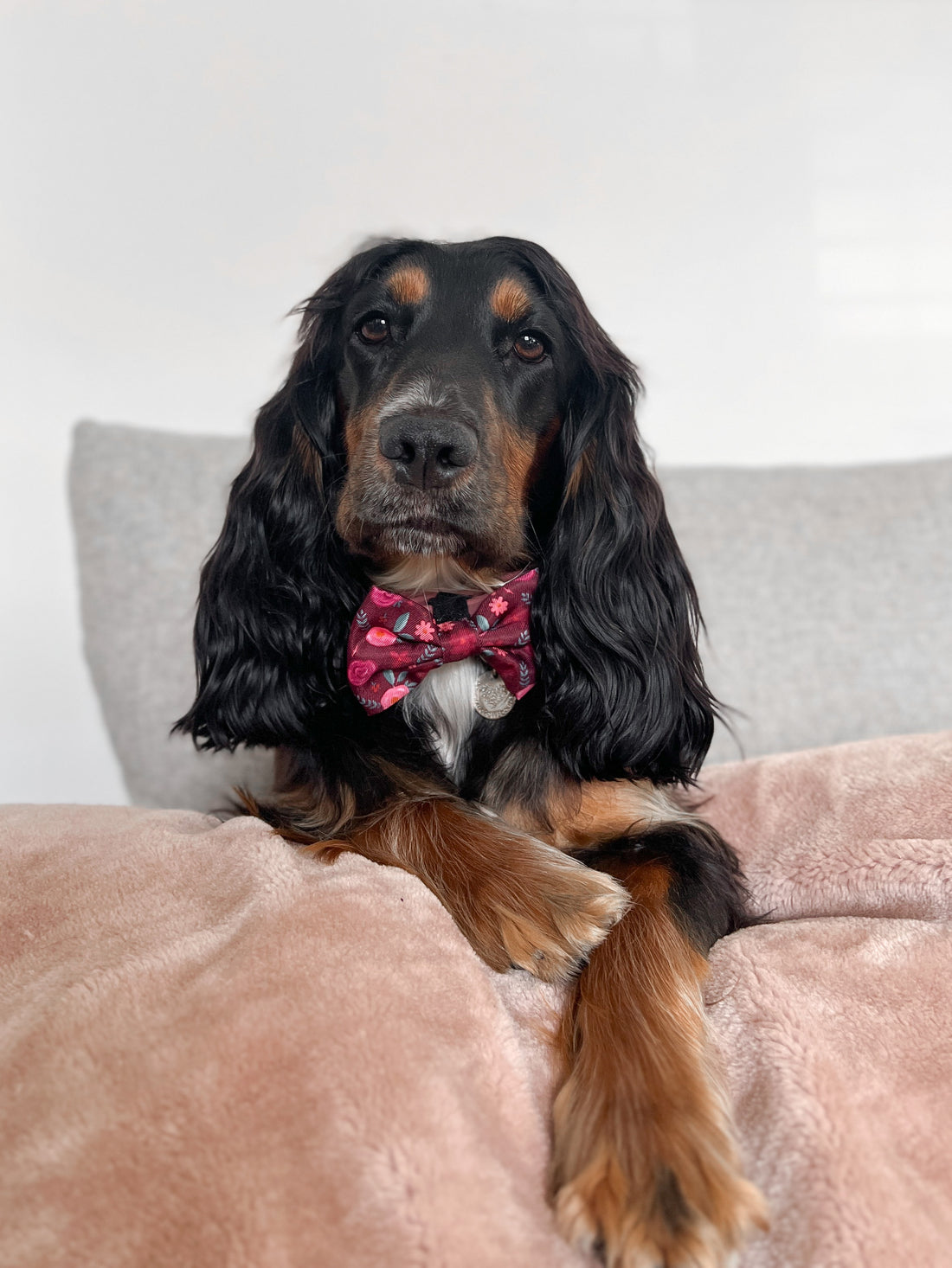 Bow Tie - Mable's Meadow