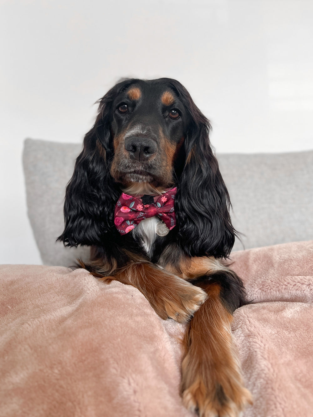 Bow Tie - Mable's Meadow