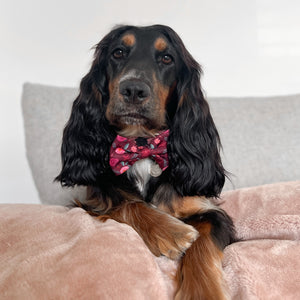 Bow Tie - Mable's Meadow