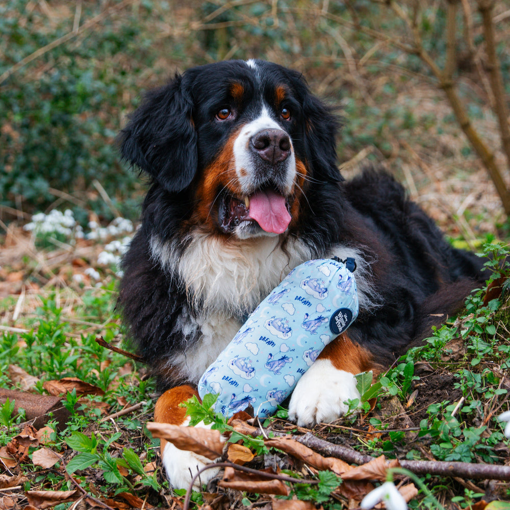 Disney© Microfibre Towel - Eeyore