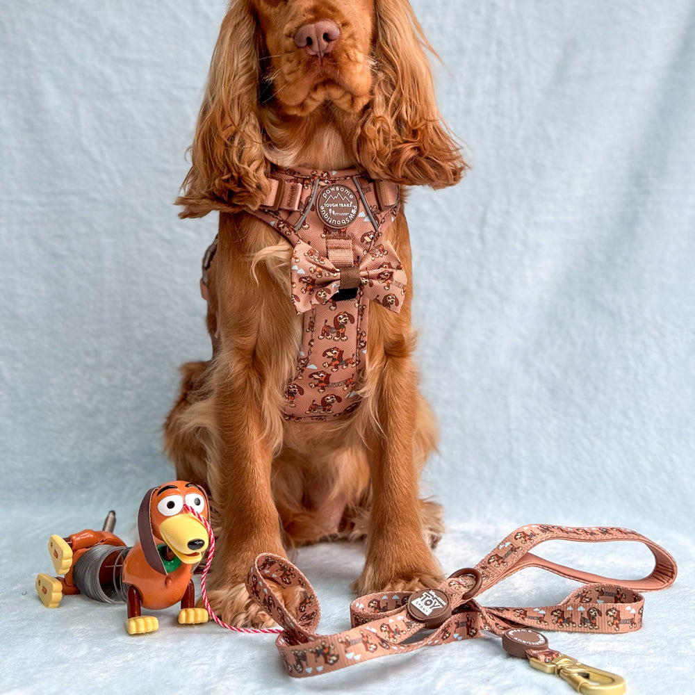 Disney© Lead - Slinky