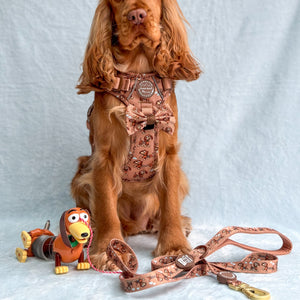 Disney© Lead - Slinky