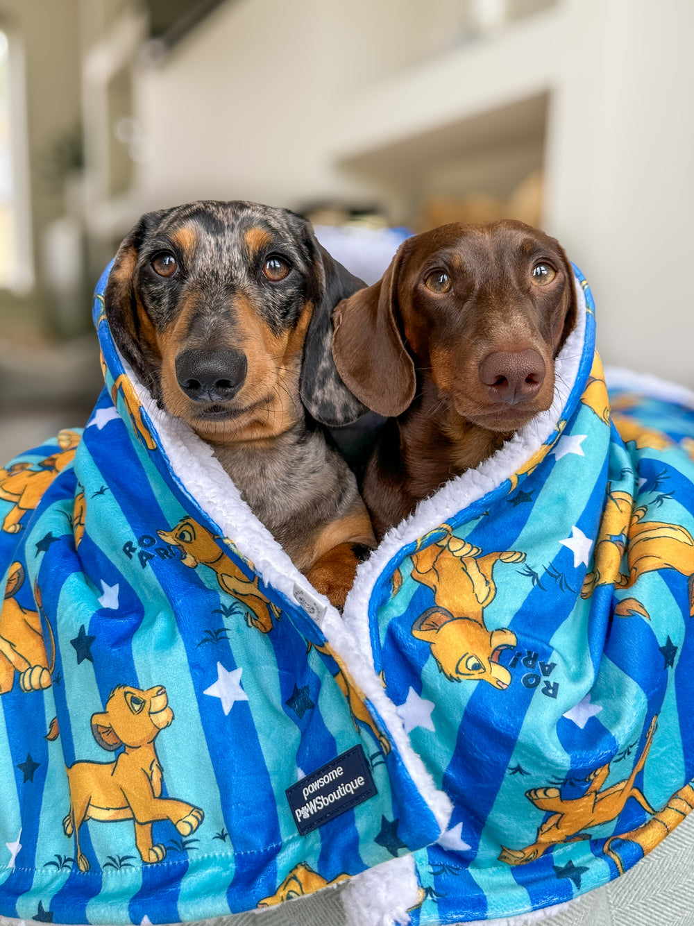 Disney© Dog Blanket - Simba