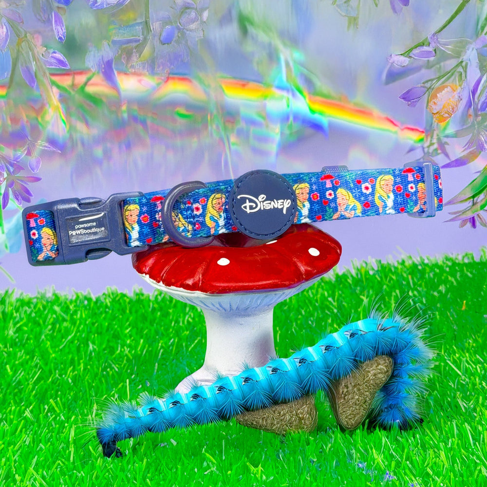 Disney© Collar - Alice In Wonderland