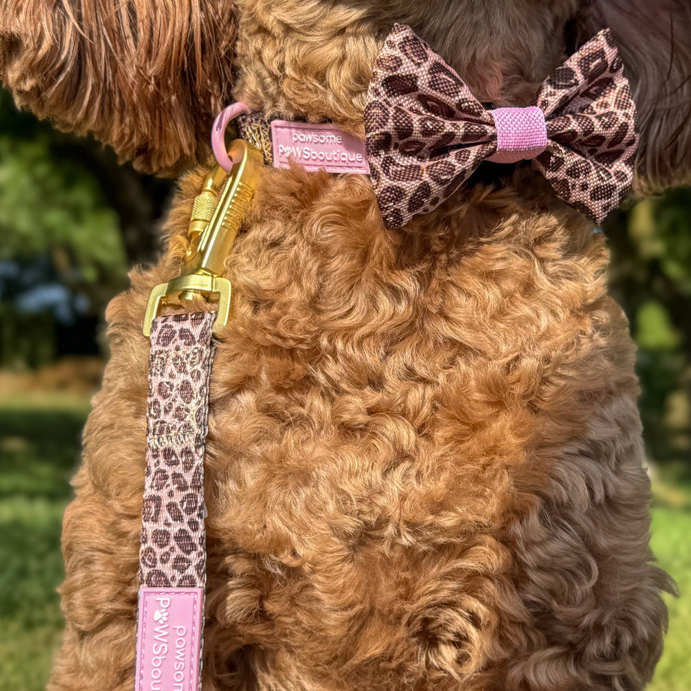 Bow Tie - Leopard Print