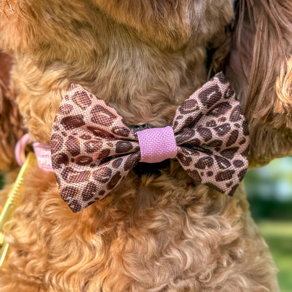 Bow Tie - Leopard Print