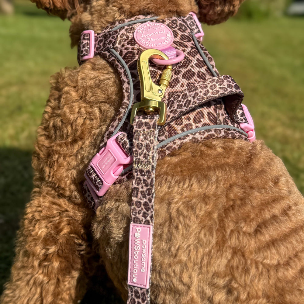 Lead - Leopard Print