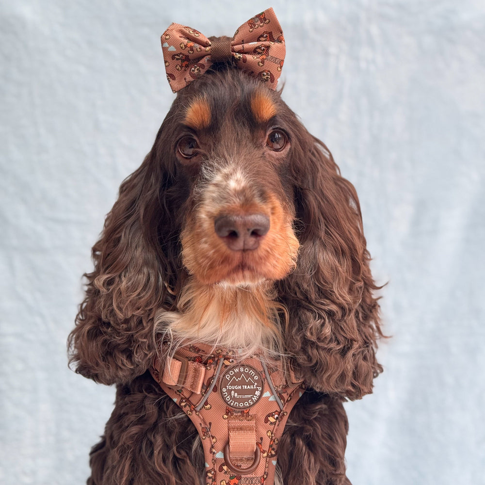 Disney© Bow Tie - Slinky