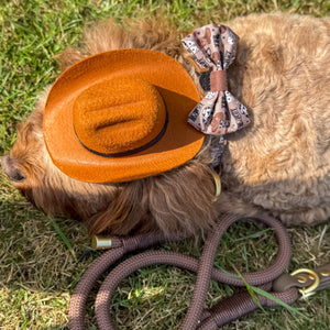 Bow Tie - Cowboy