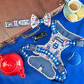 Paddington™ Tough Trails™ Harness - London