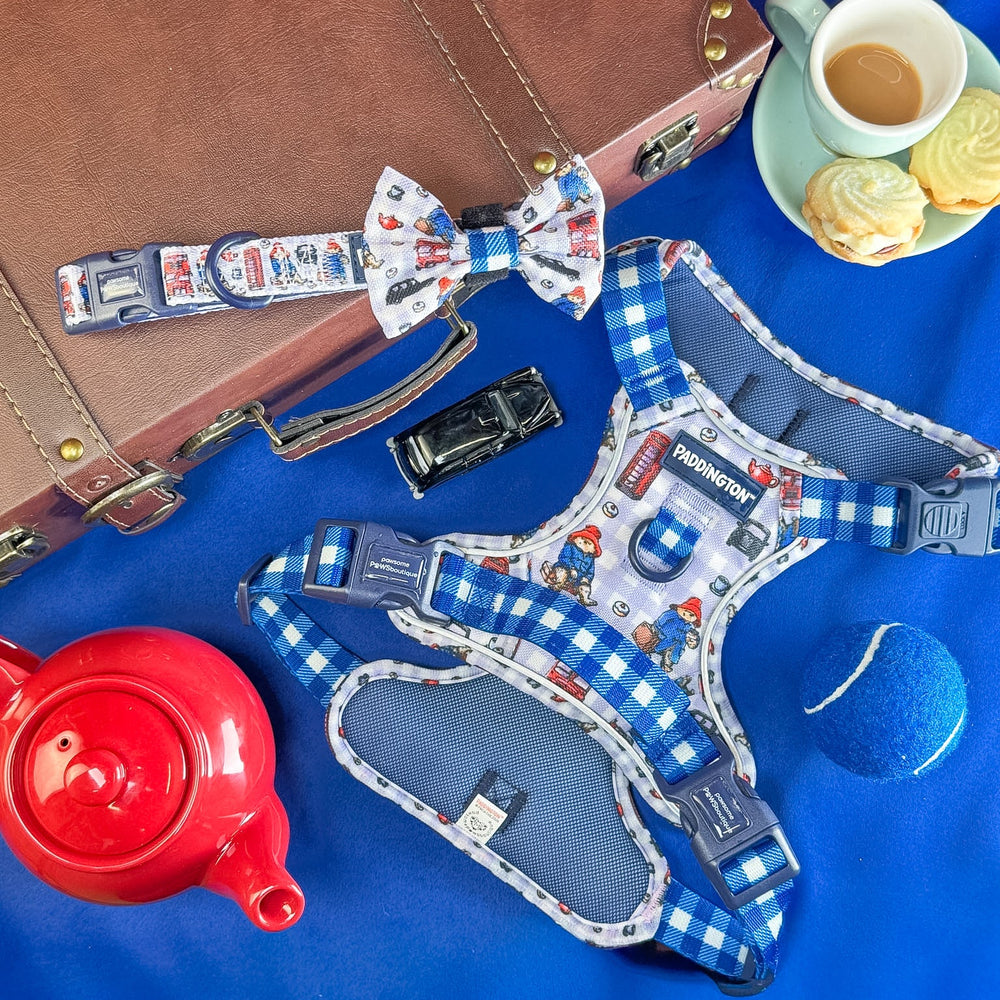 Paddington™ Tough Trails™ Harness - London