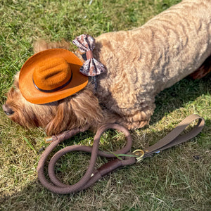 4ft Rope Lead - Brown