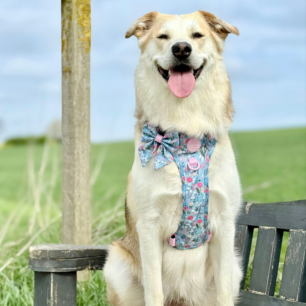 Sailor Bow - Whimsical Wildflowers