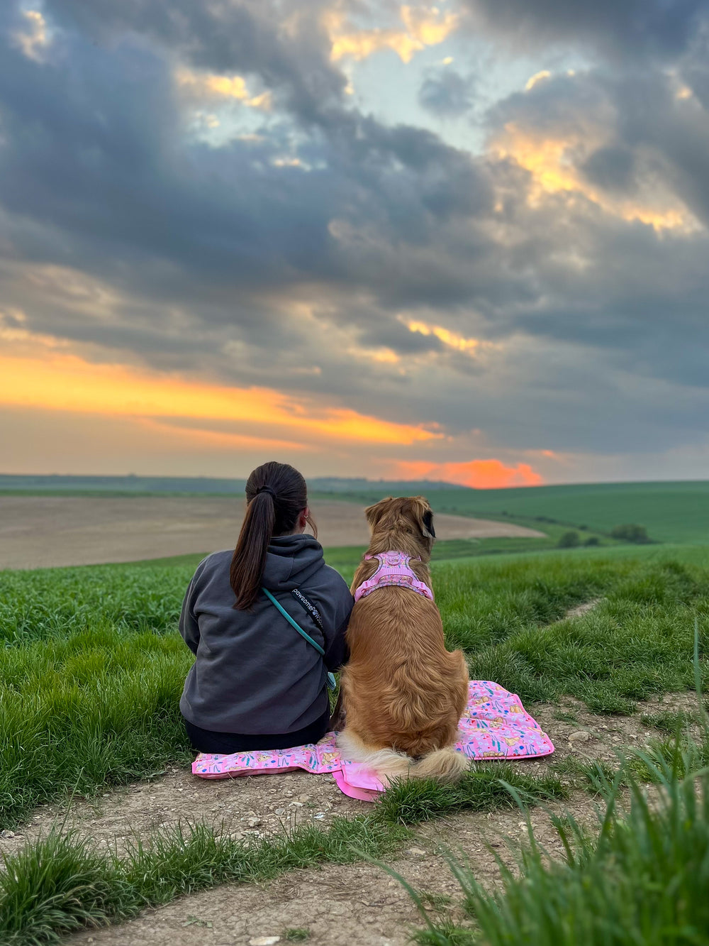 Disney© Travel Mat - Nala