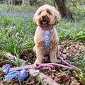 Poo Bag Holder - Whimsical Wildflowers