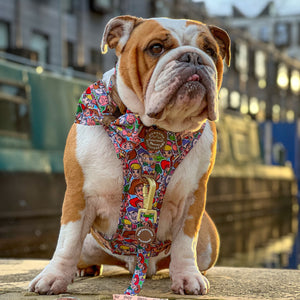 Disney© Bow Tie - Toy Story Friends