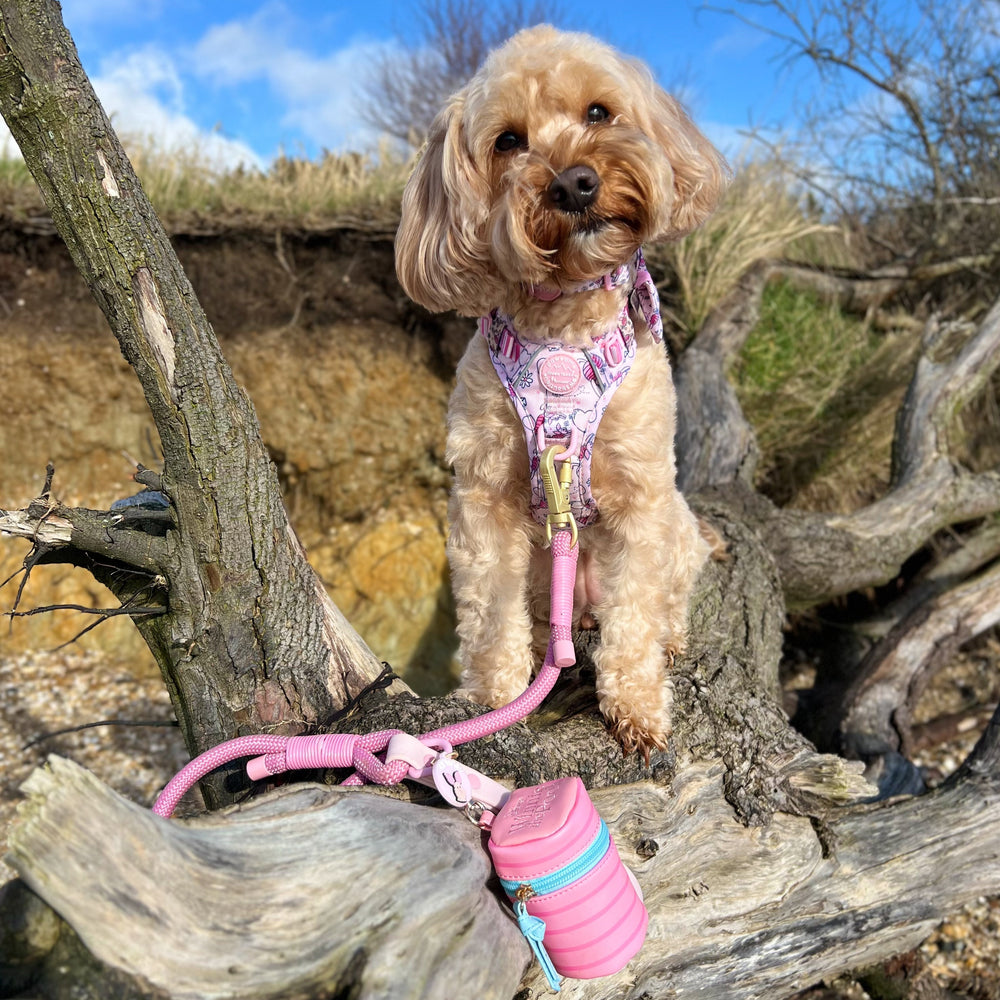 Disney© 4ft Rope Lead - Piglet - Pink