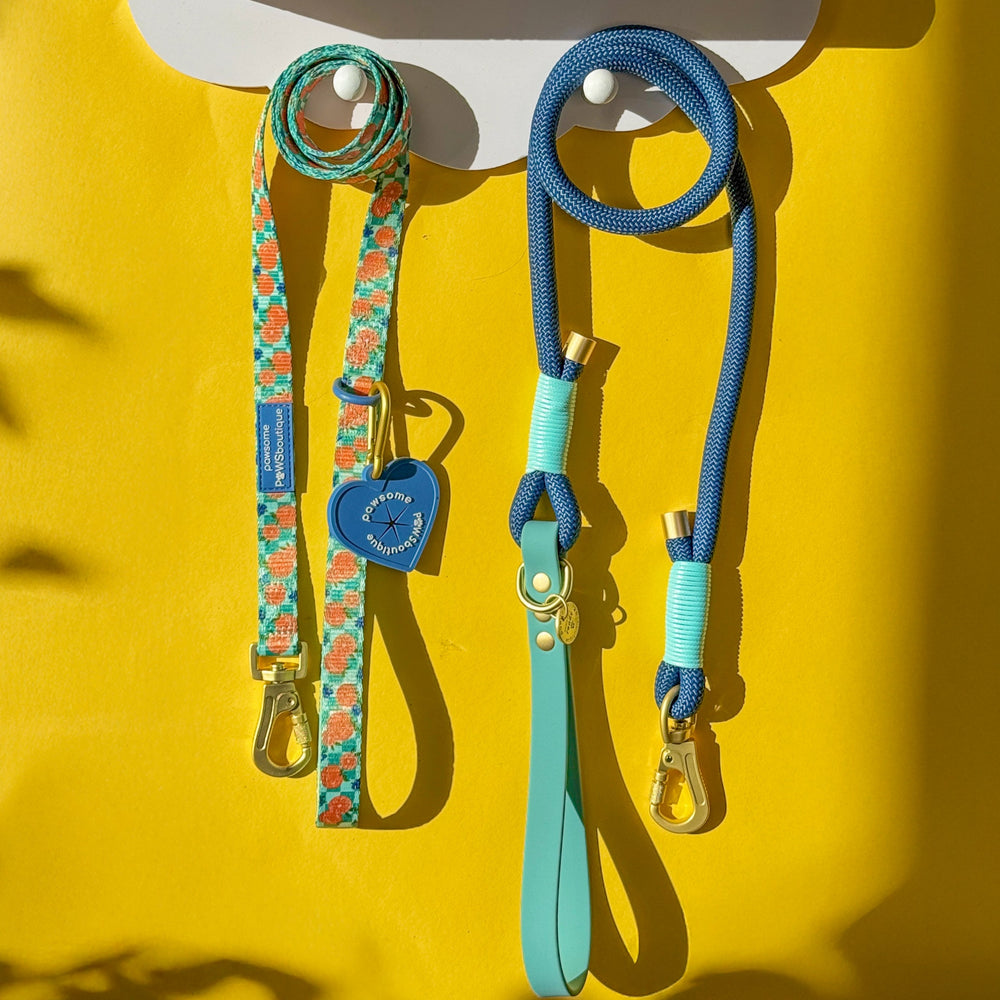 4ft Rope Lead - Royal Blue