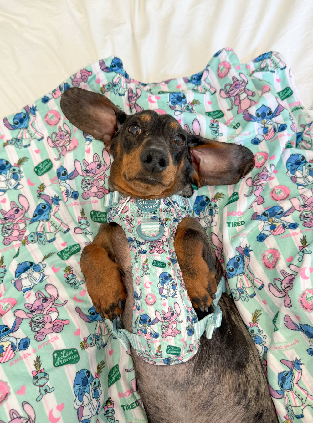 Disney© Dog Blanket - Stitch's Slumber Party