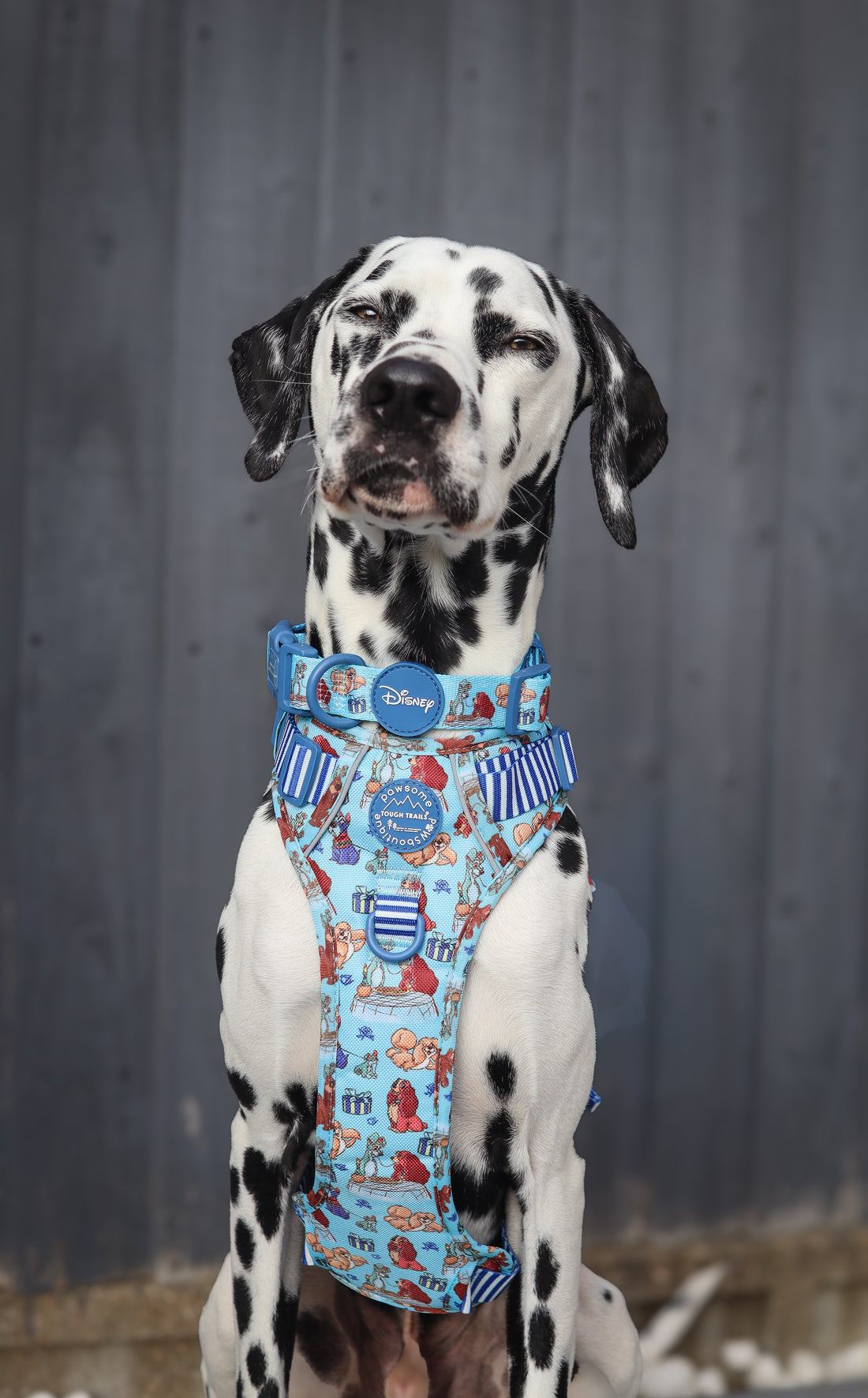 Disney© Tough Trails™ Harness - Tails Of Love