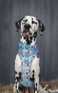 Disney© Tough Trails™ Harness - Tails Of Love