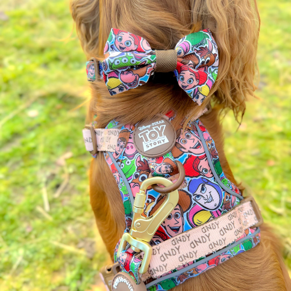 Disney© Bow Tie - Toy Story Friends