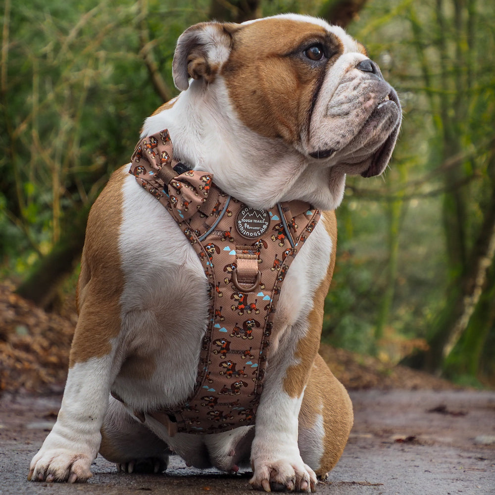 Disney© Bow Tie - Slinky