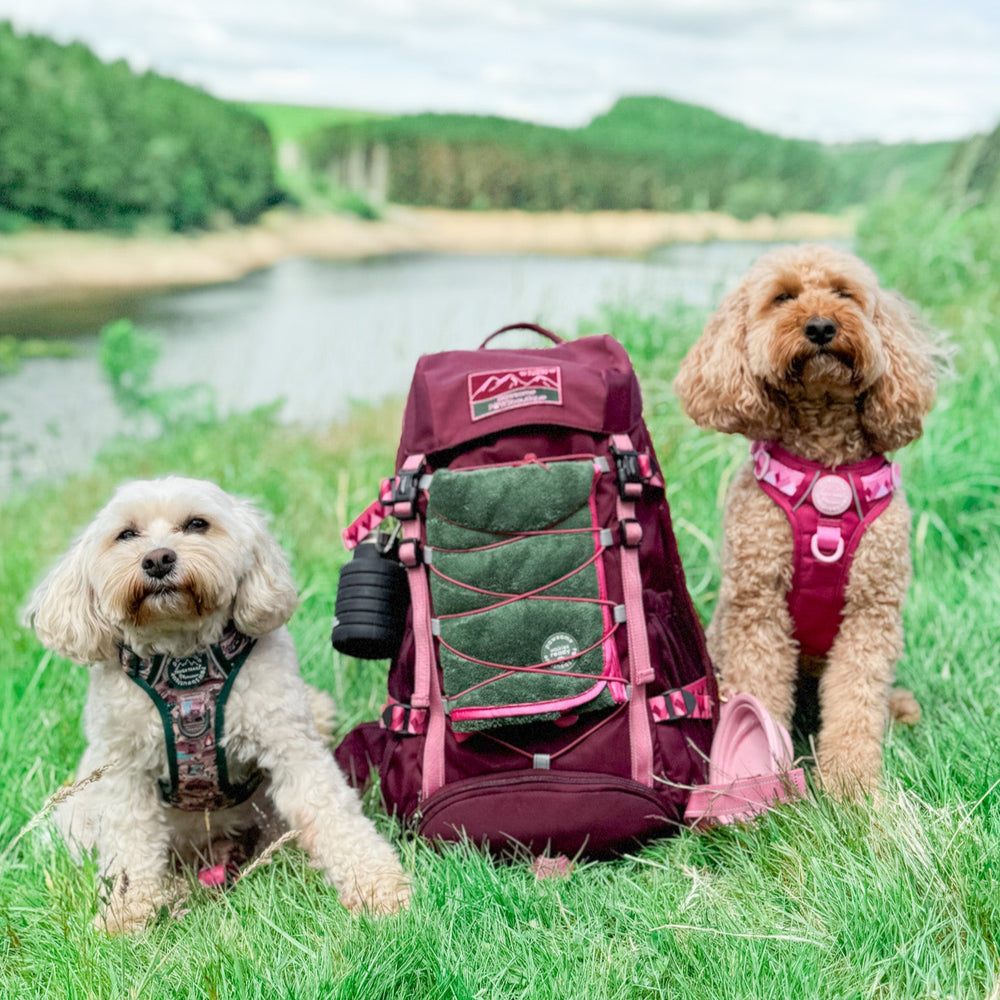 Walkies Ready® Hiking Backpack