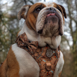 Disney© Bow Tie - Slinky