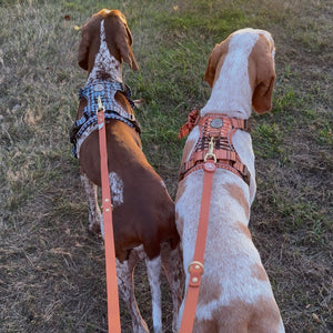 Double Ended Lead - Walkies Ready® Rust (New Clip)