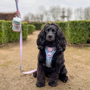 Disney© Treat Pouch - Mad Hatters Tea Party