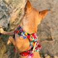 Disney© Bow Tie - Winnie Goes Retro