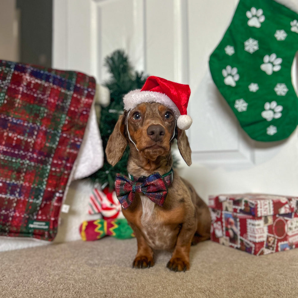 Bow Tie - Yuletide Plaid