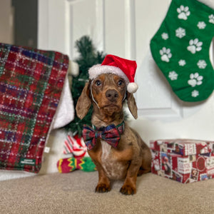 Bow Tie - Yuletide Plaid