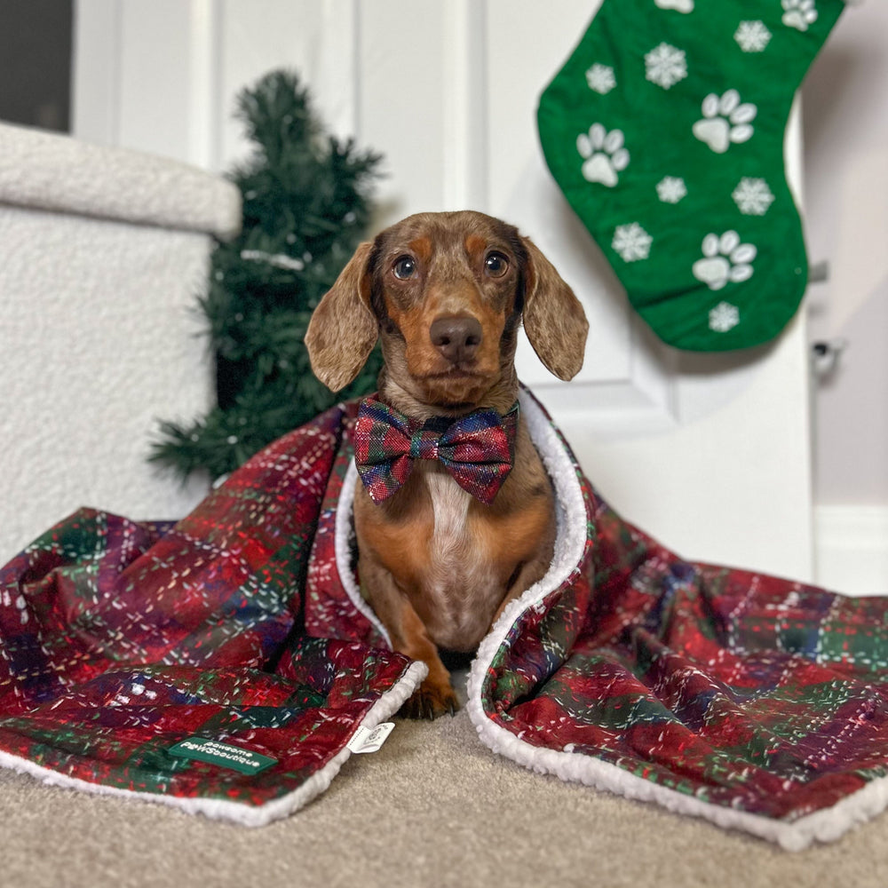 Dog Blanket - Yuletide Plaid