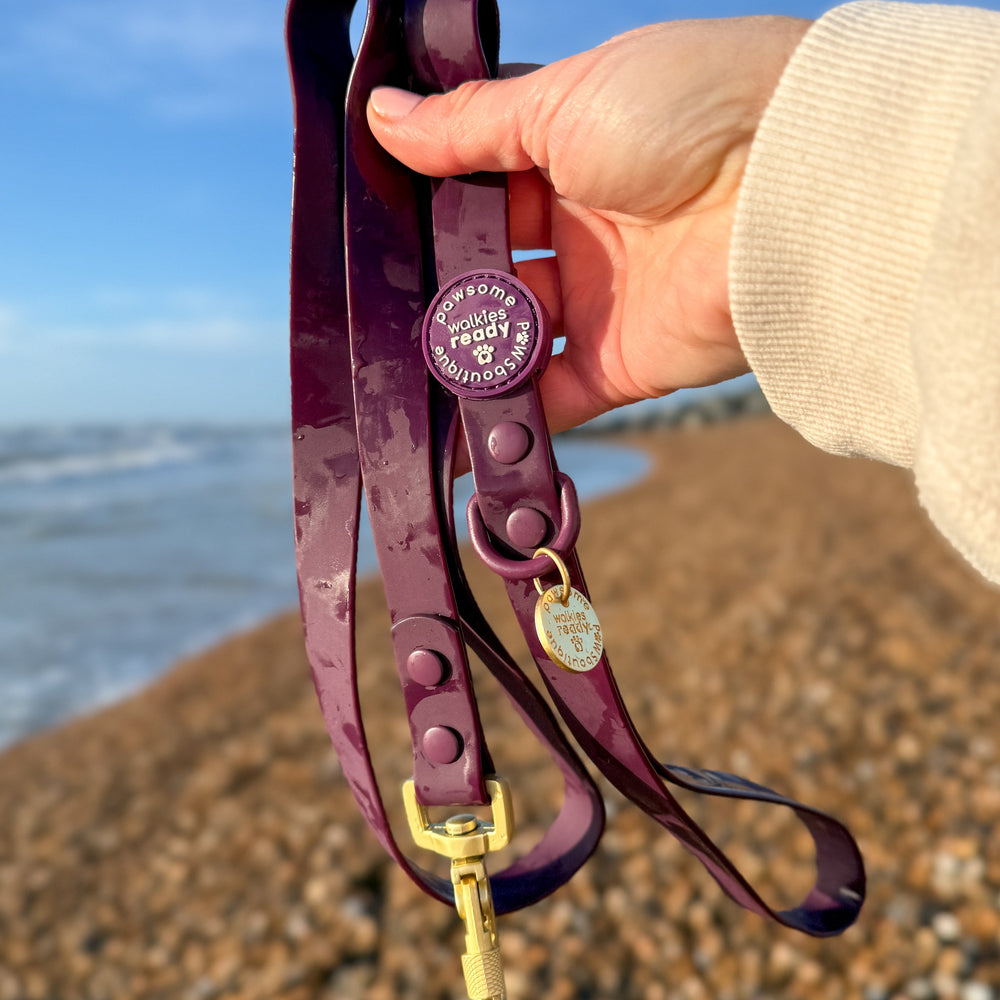 4ft Waterproof Lead - Walkies Ready® Plum