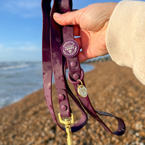 4ft Waterproof Lead - Walkies Ready® Plum