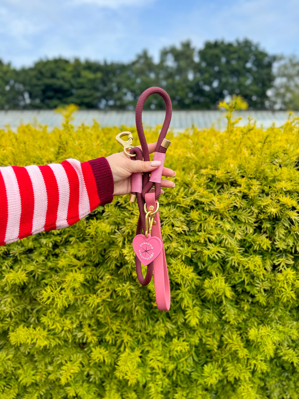 4ft Rope Lead - Mulberry