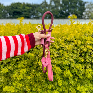 4ft Rope Lead - Mulberry